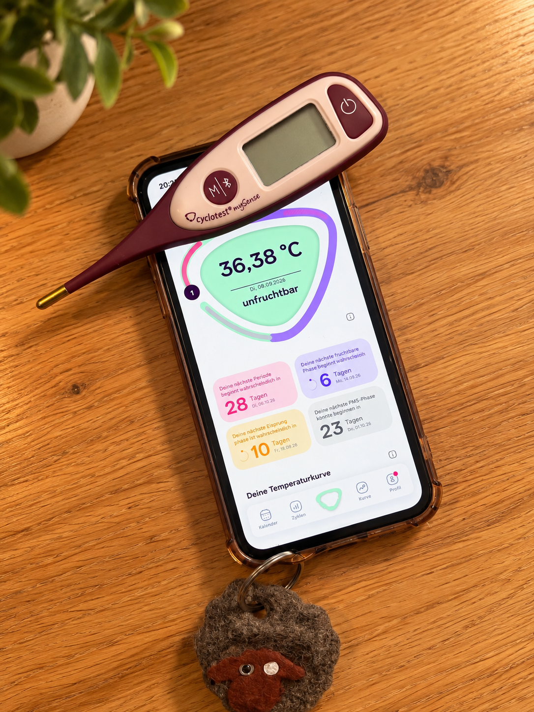 Zyklustracking versus Periodentracking: Was ist der Unterschied?